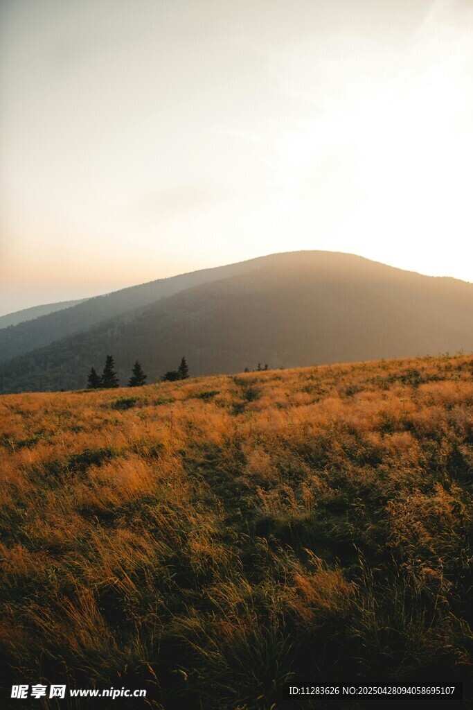 黃昏下的山野美景