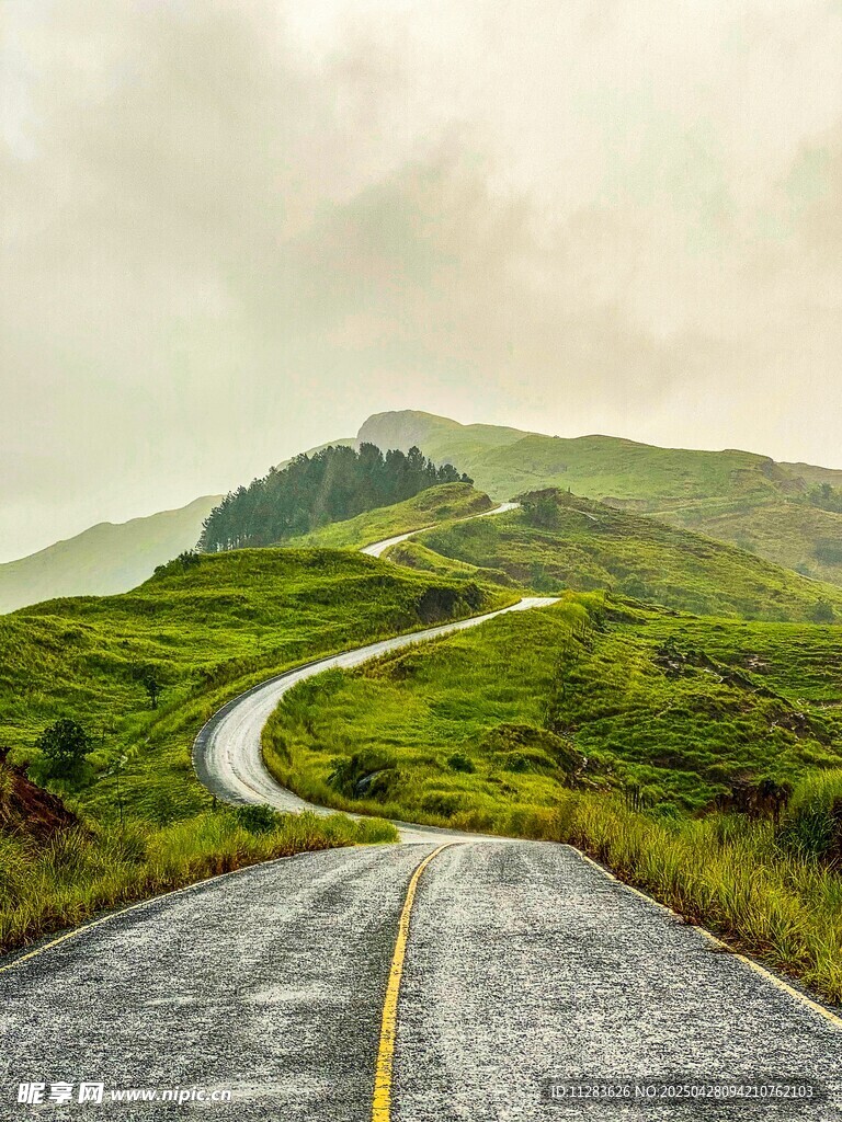 蜿蜒山路于翠綠山間