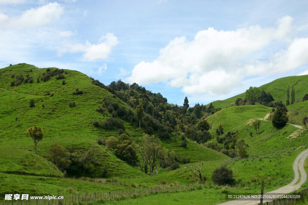 山間綠野蜿蜒小路美景