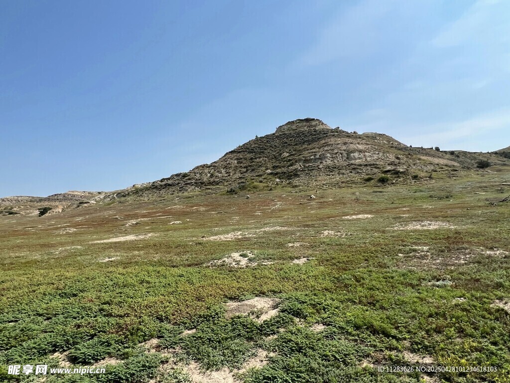 廣袤山丘下的綠意景致