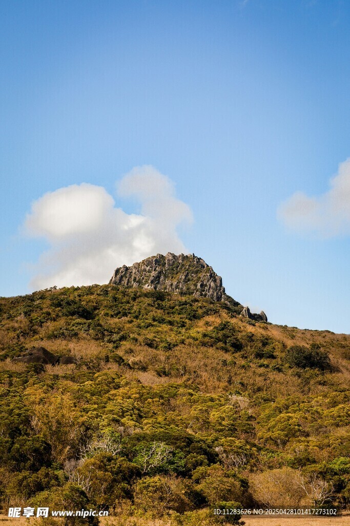 山巔風光