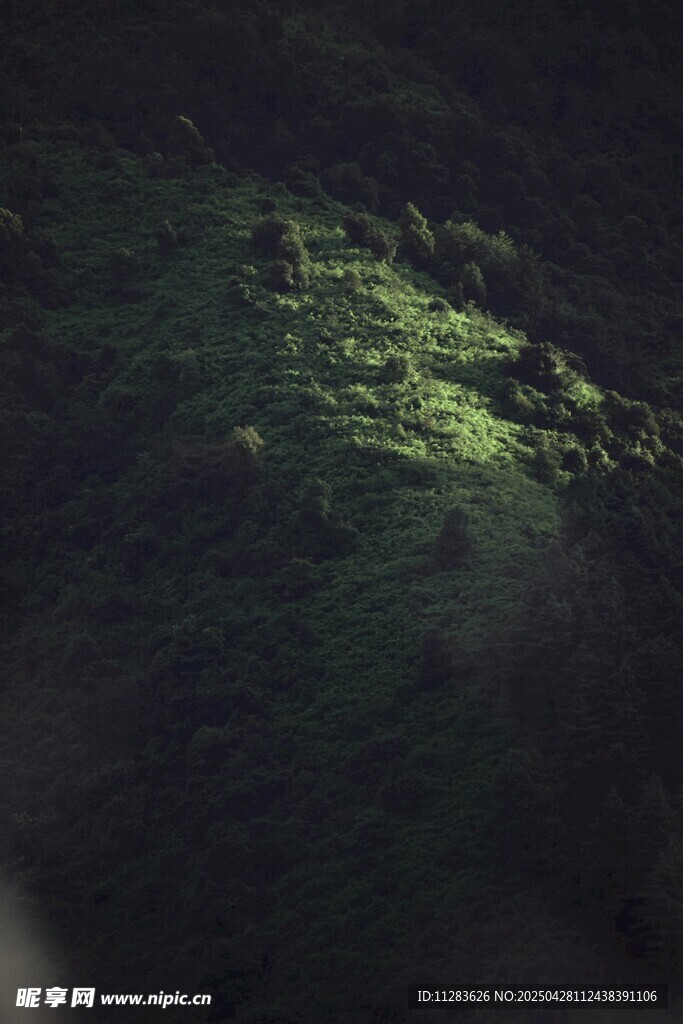 山間微光下的綠意景致