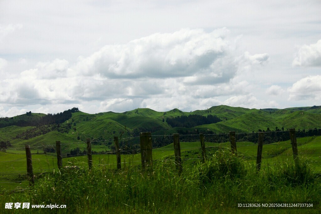 草原圍欄邊的綠意風(fēng)景
