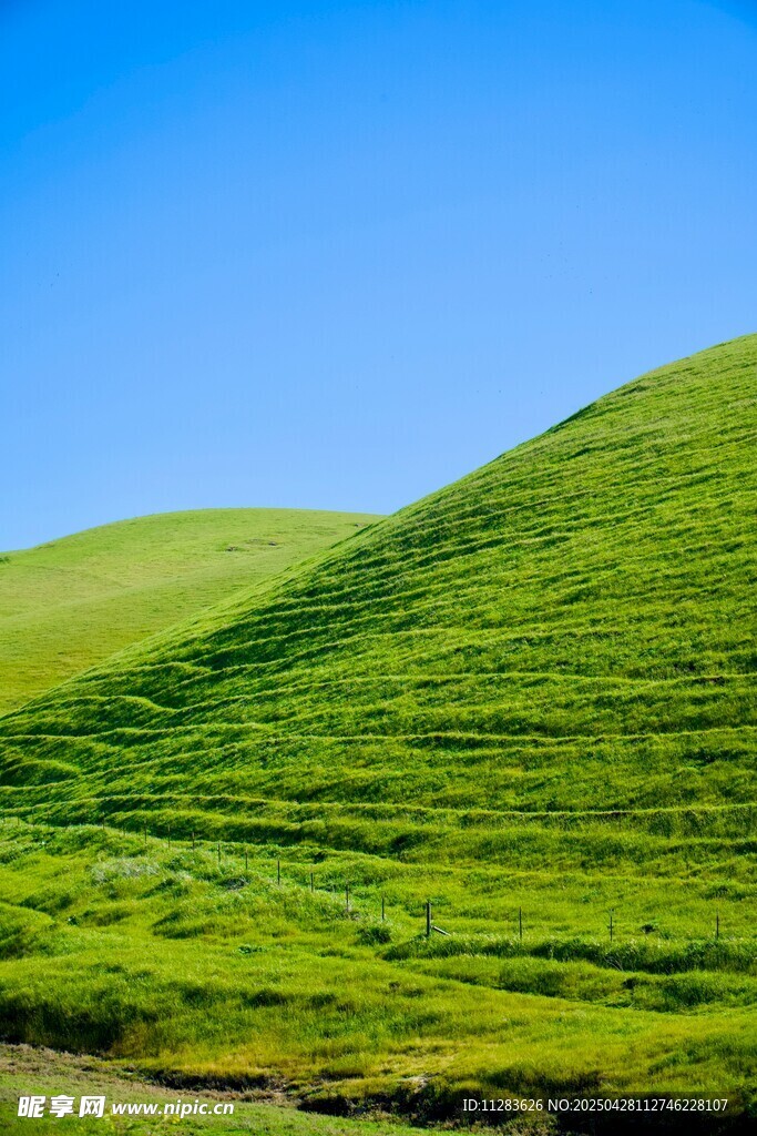 翠綠山丘藍天美景
