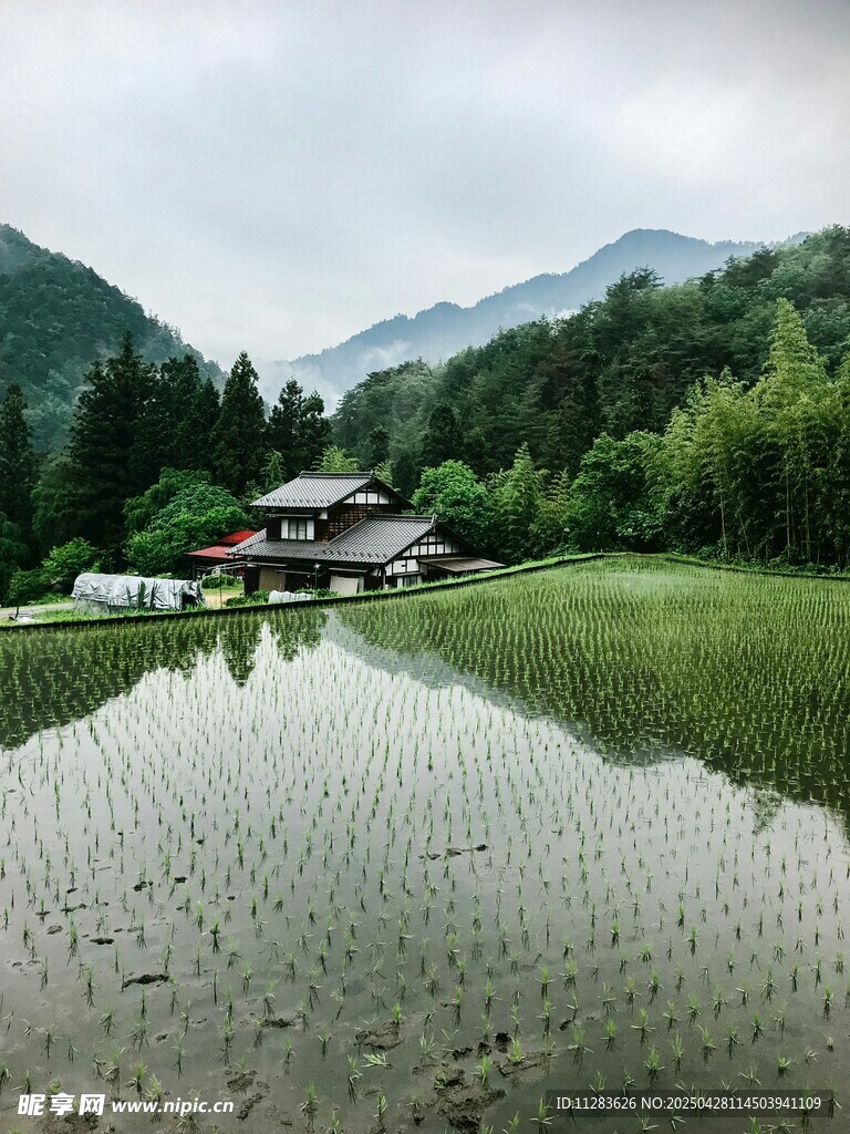 田園水鄉(xiāng)美景