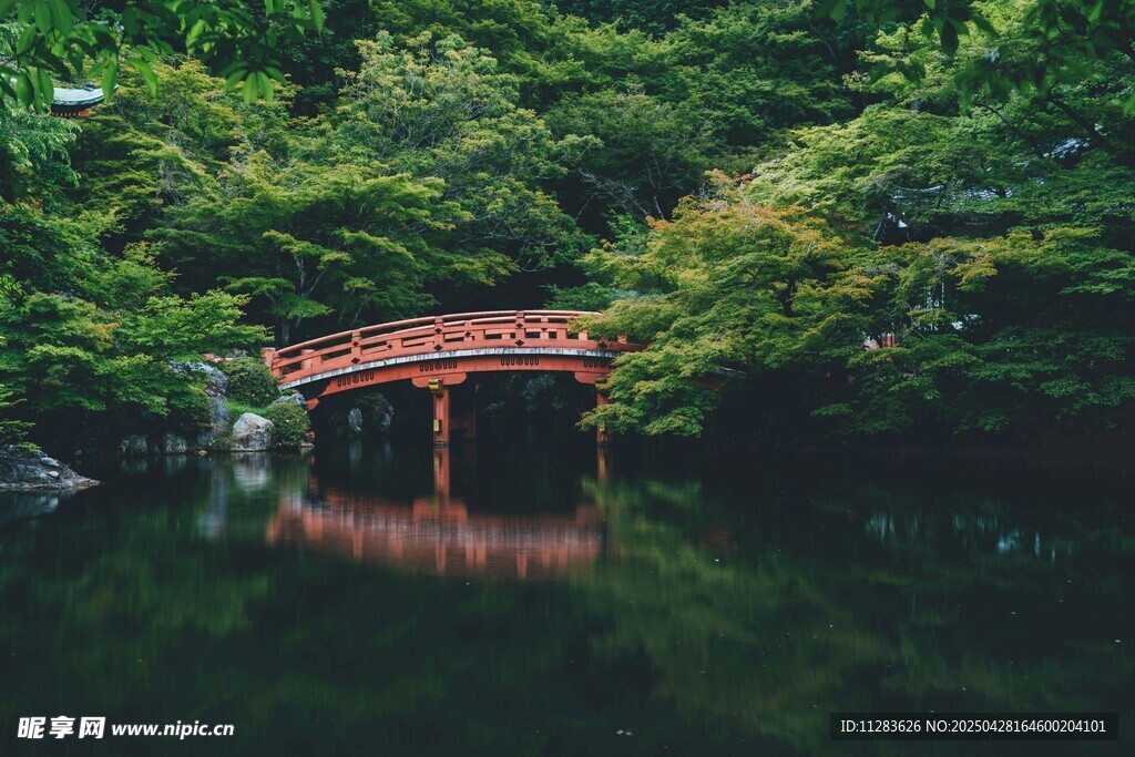 林中紅橋映碧水