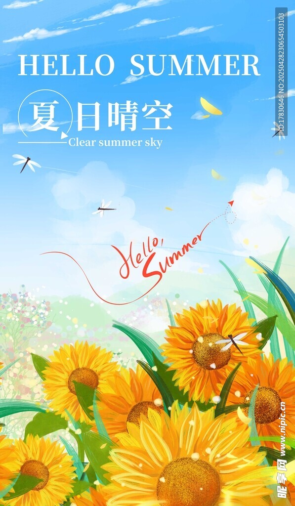 夏日晴空下的燦爛花朵