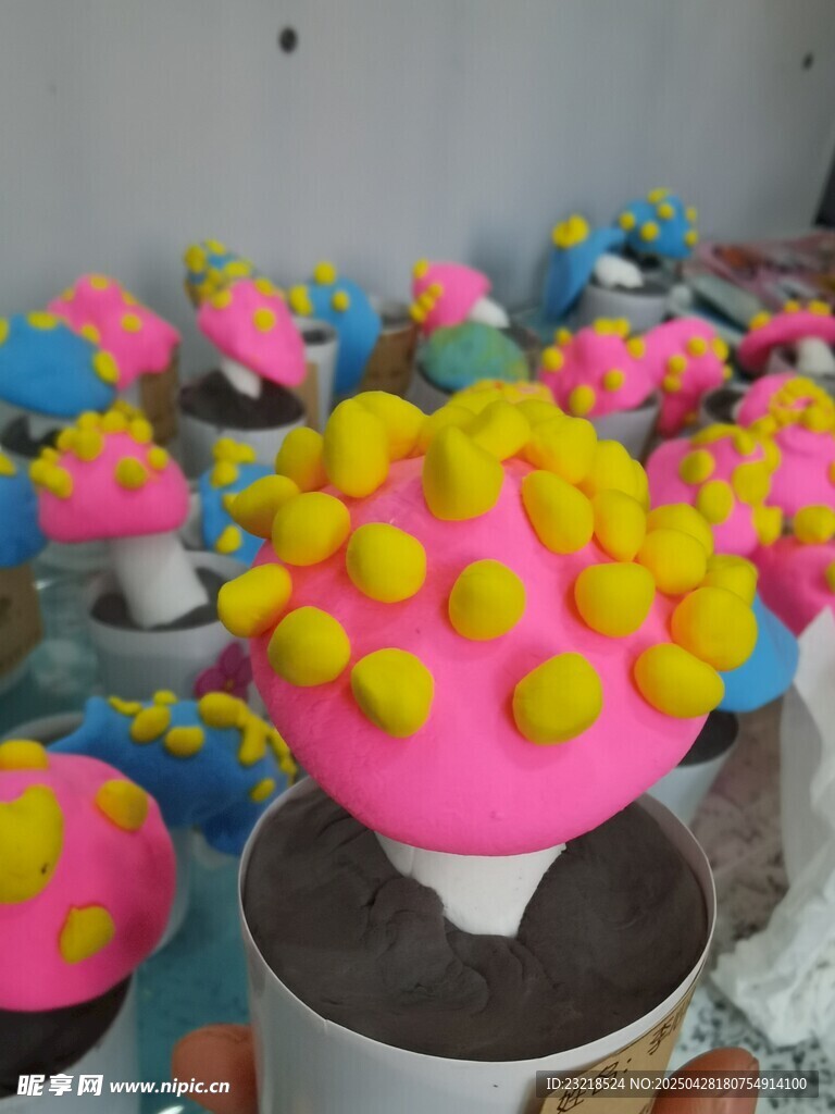 蘑菇