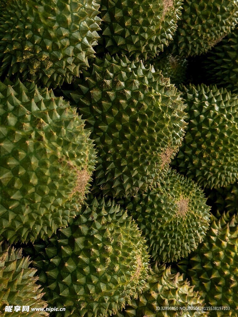 一堆帶刺的新鮮榴蓮