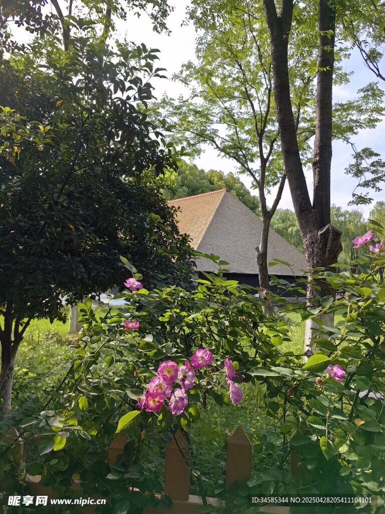 林間繁花環繞的小屋