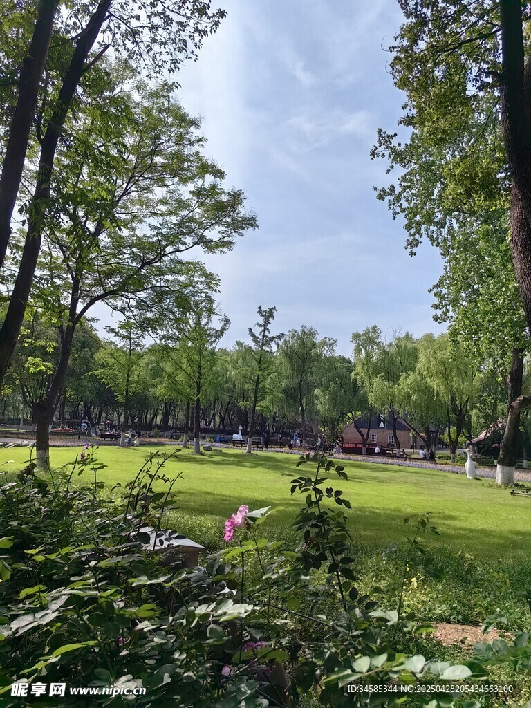 綠意盎然的公園美景