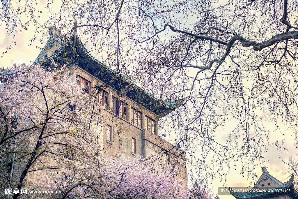 春日繁花中的古建筑