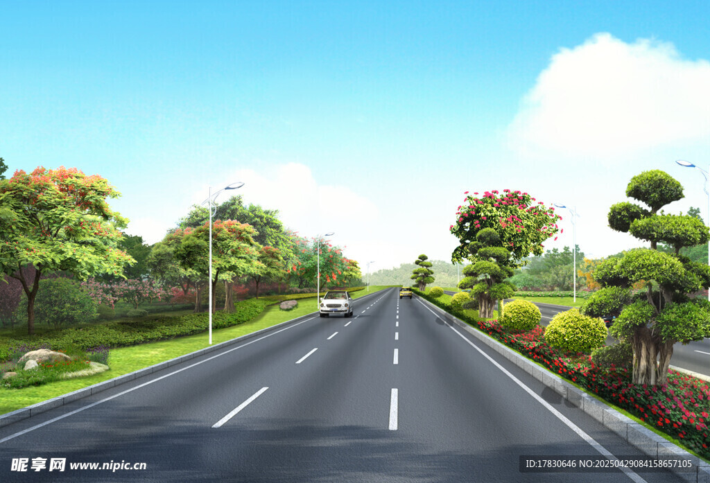 寬闊公路旁綠意盎然景觀