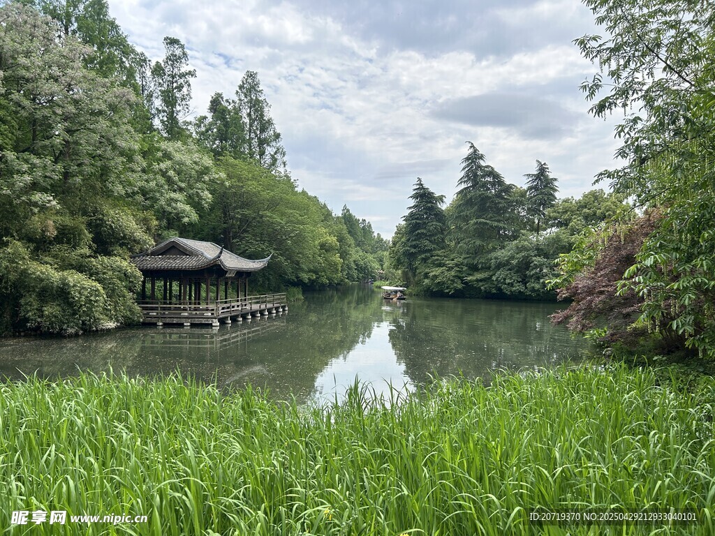 湖畔幽亭 綠意盎然的景致