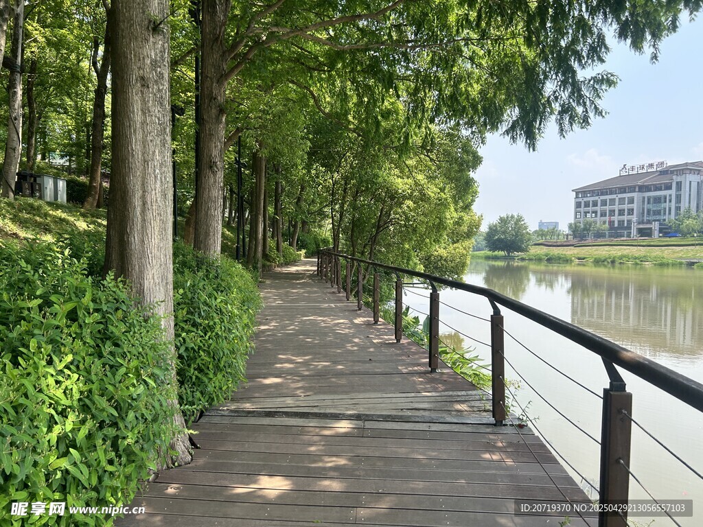河畔林蔭木棧道風景