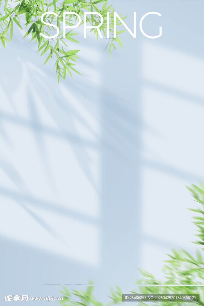 照片前背景