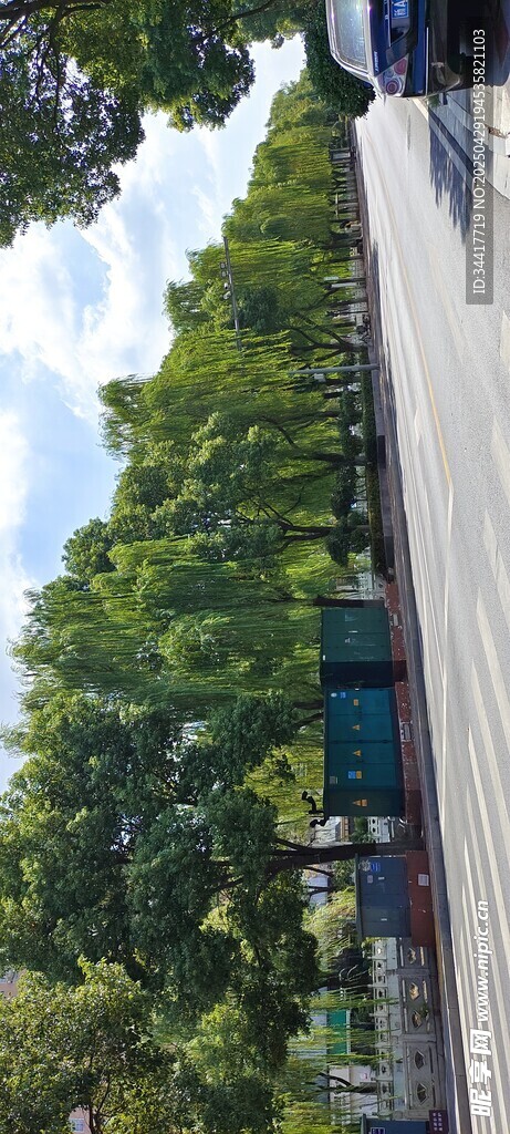 戶外綠樹旁的建筑一角