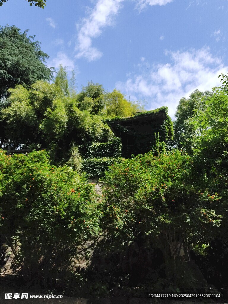 山間綠意盎然的自然景致