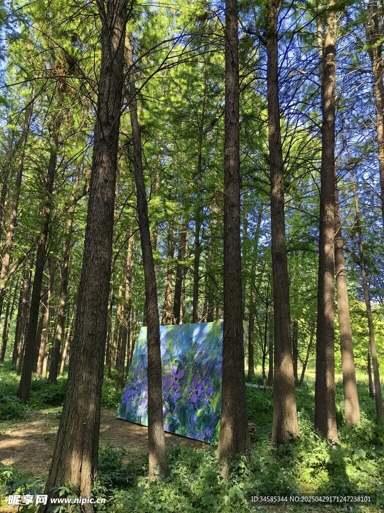 森林中的夢幻彩色帳篷