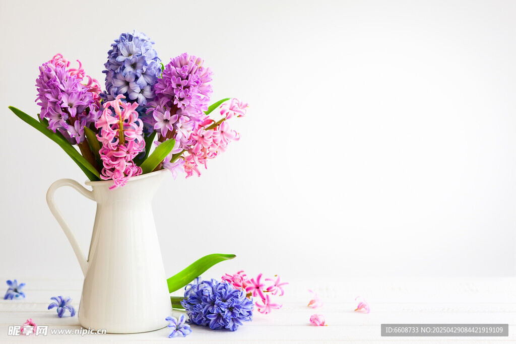 白色花瓶中的風信子花束