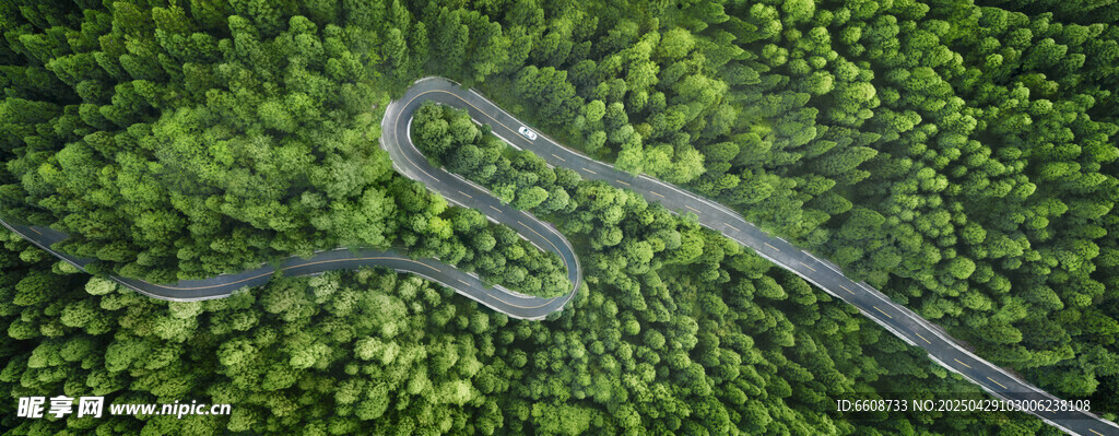蜿蜒山路穿梭于蔥郁山林