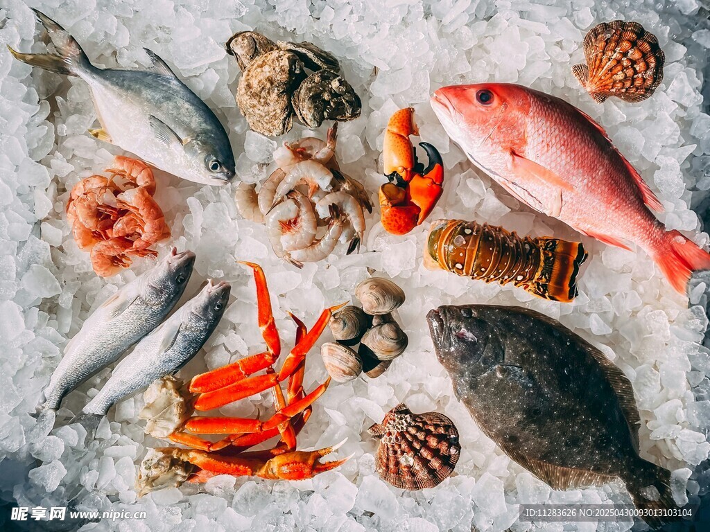 新鮮多樣的冰鮮海產