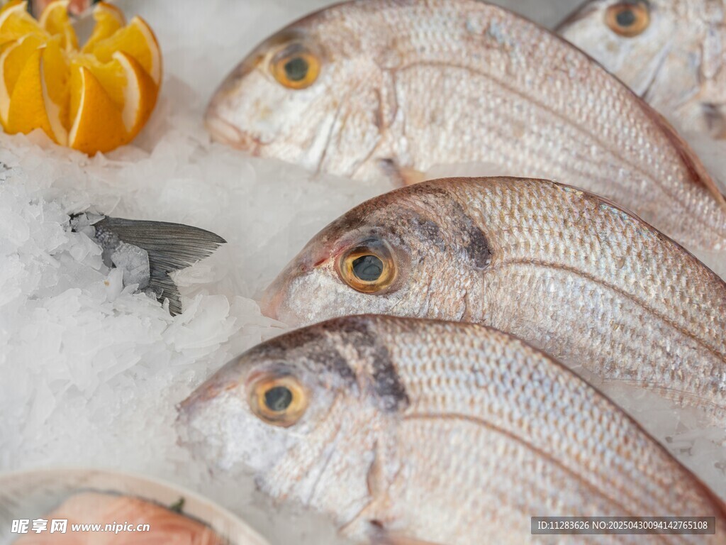 冰鮮海魚與鮮橙誘人呈現(xiàn)