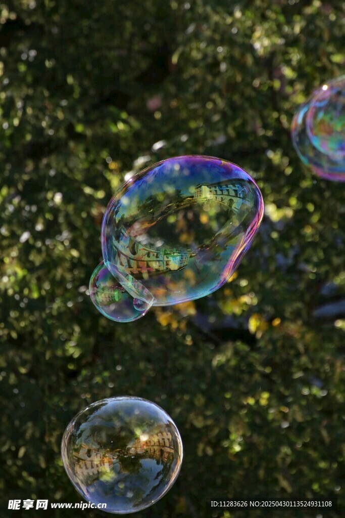 陽光下的夢幻彩色泡泡