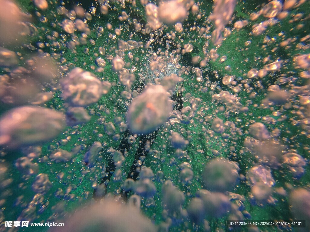 海底魚群景象