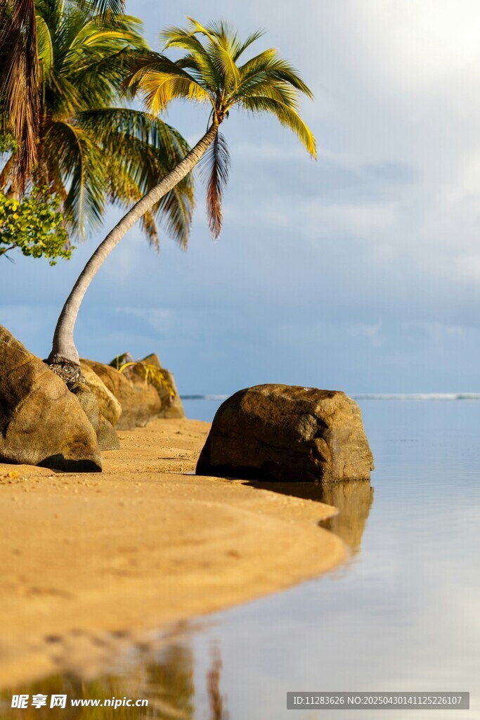 熱帶沙灘椰樹與礁石美景