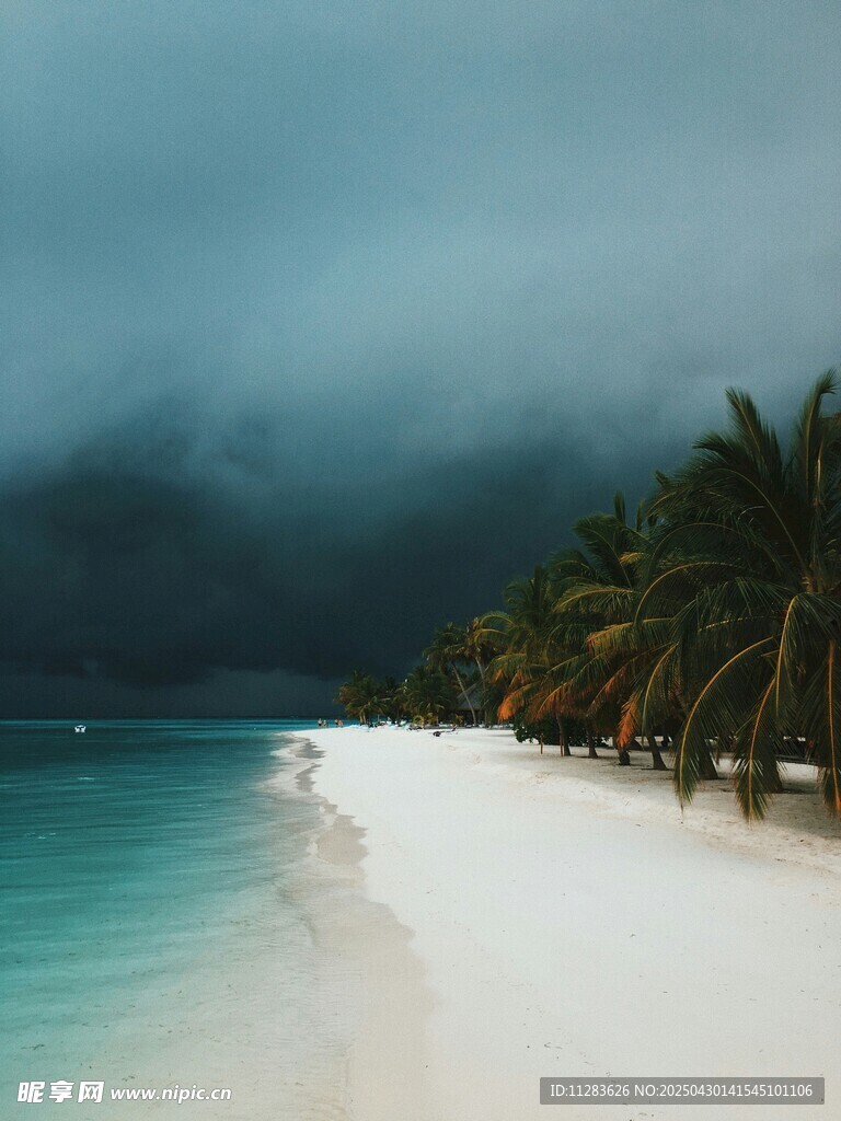 夢幻海灘椰林與幽藍海水