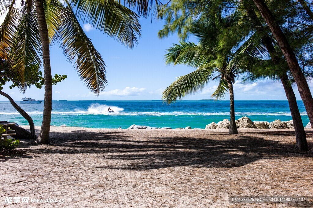 熱帶海灘椰林美景