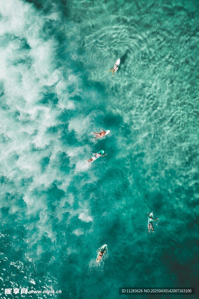 碧海之上的悠然游泳者