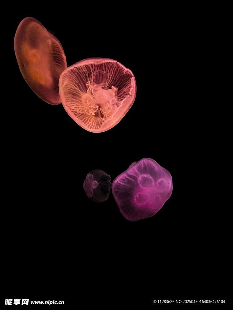 多彩寶石懸浮畫面展示
