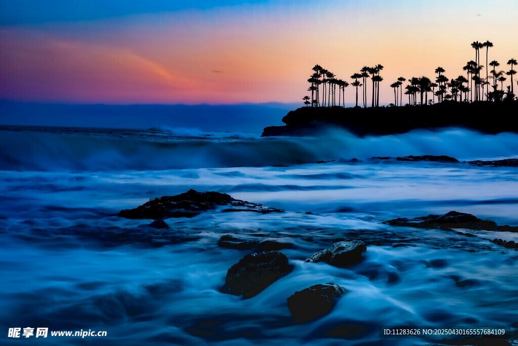 海邊日落時的棕櫚樹美景