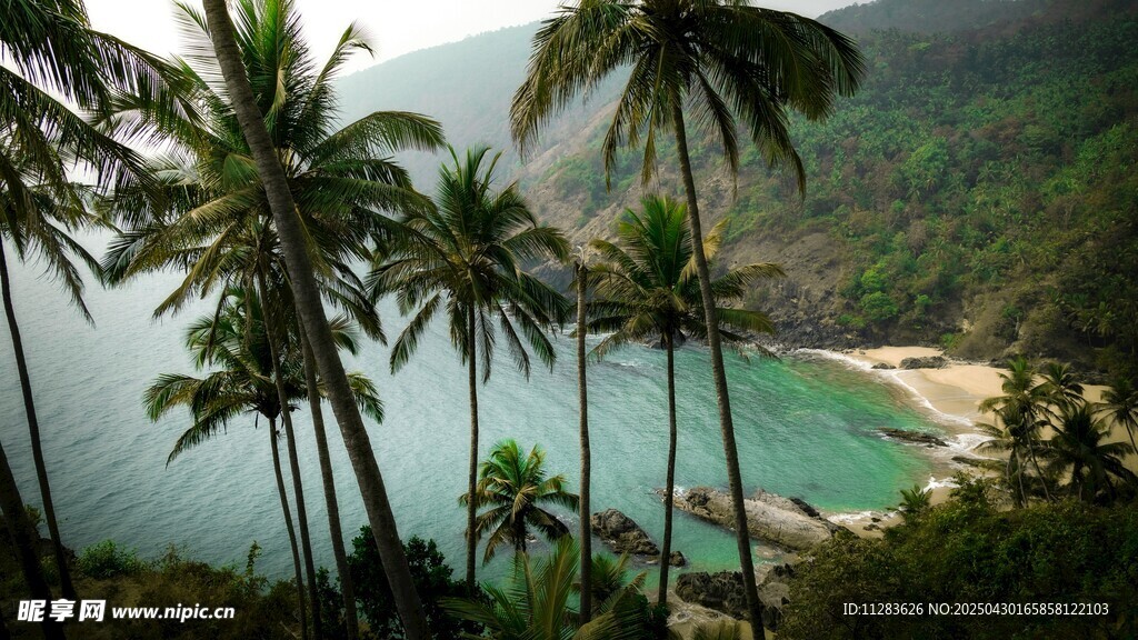 熱帶海島椰林海景風光