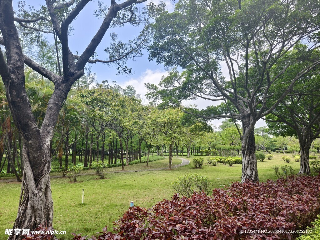 城市園林公園小景