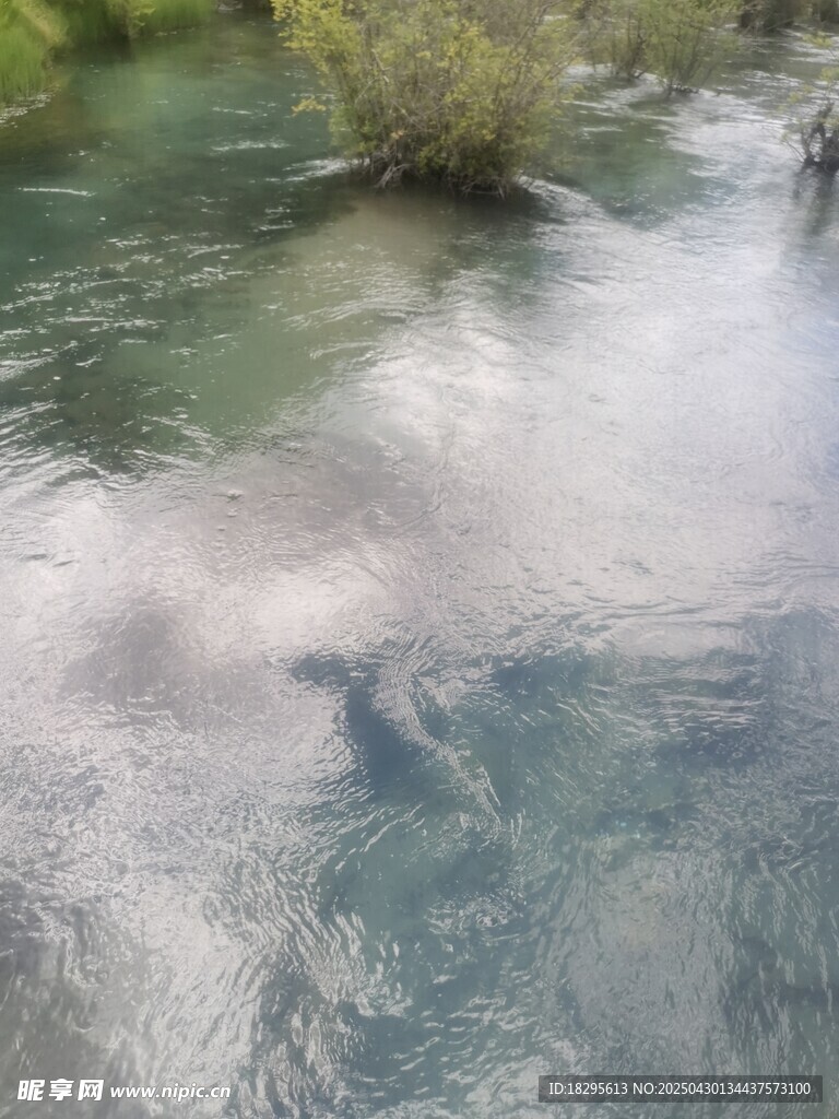 湍急溪流中的水花與綠植