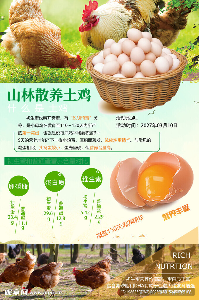 農家土雞蛋宣傳海報