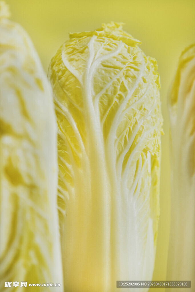 鮮嫩大白菜特寫