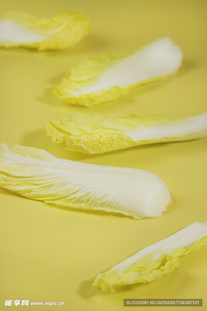 黃色背景上的新鮮娃娃菜