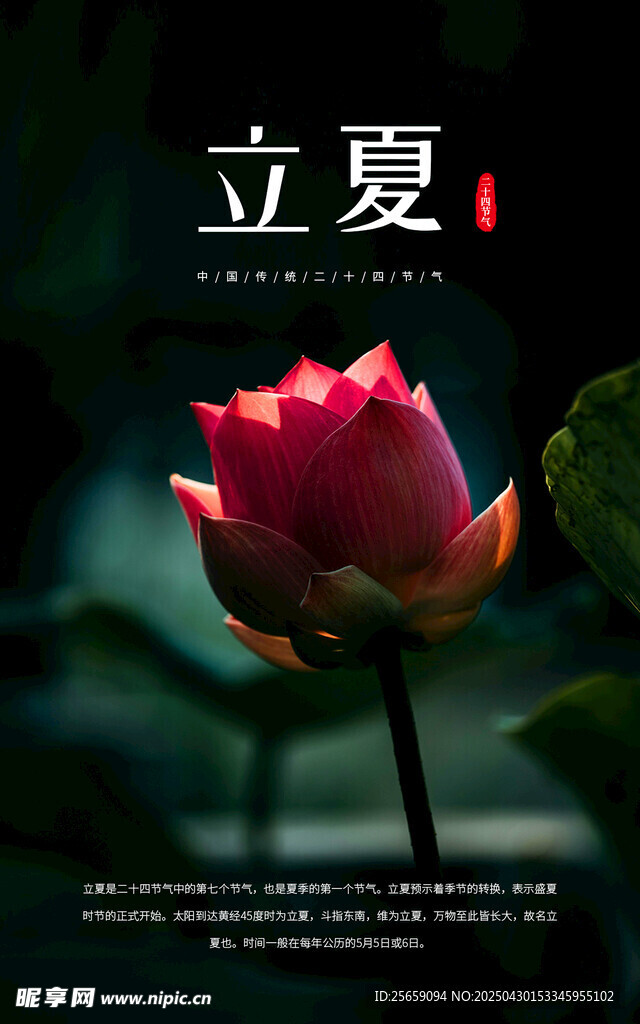 立夏海報