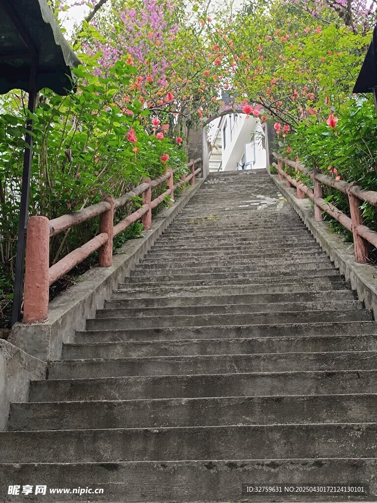 梯步