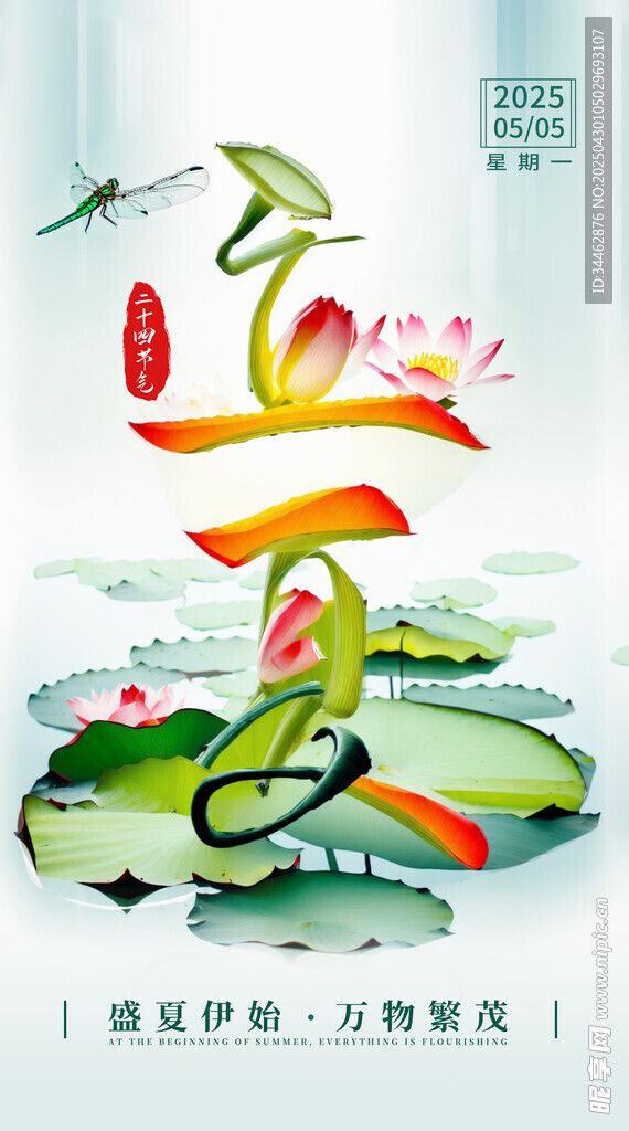 夏日荷塘詩意插畫