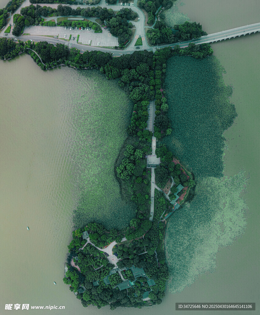空中俯瞰的濕地景觀