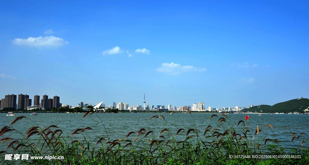 湖畔風光 城市與自然相融