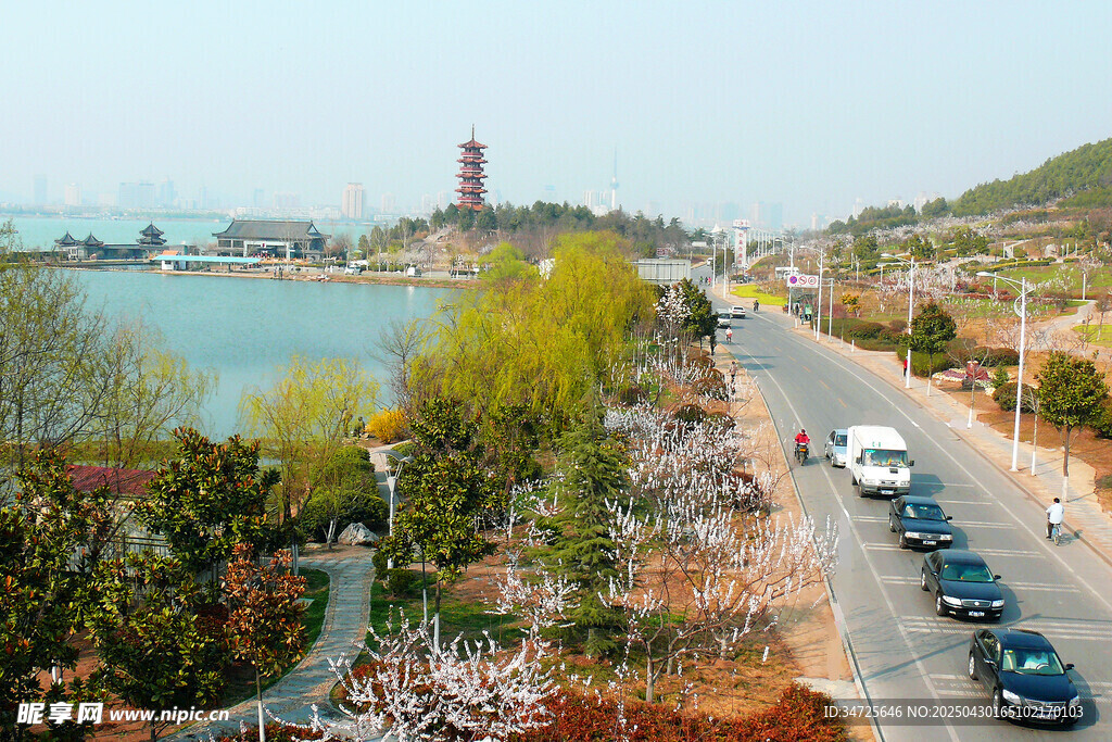 海濱公路風光