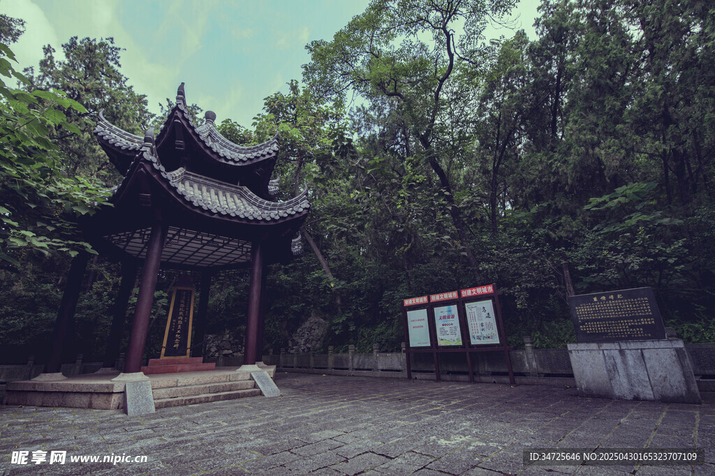 古亭立于蔥郁樹林間