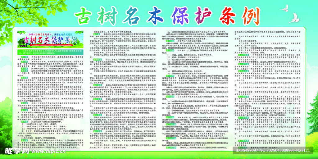 古樹名木保護案例
