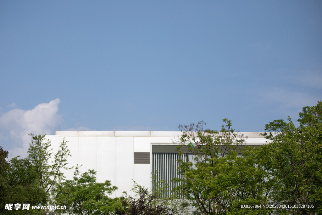 現代白色建筑與綠植景觀